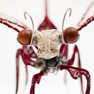 Escultura "Raíces del tiempo"